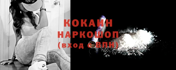индика Горнозаводск