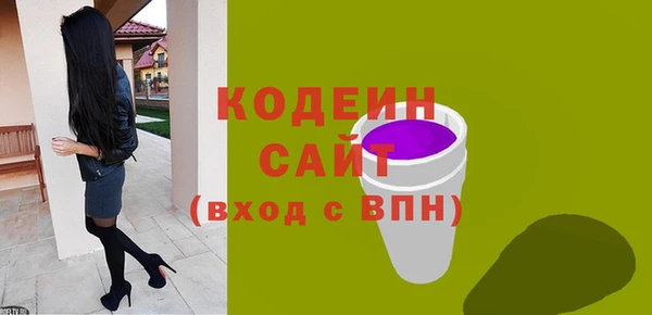 индика Горнозаводск