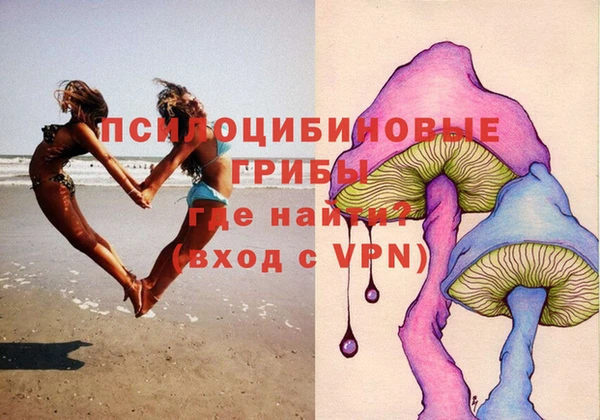 хмурый Вяземский
